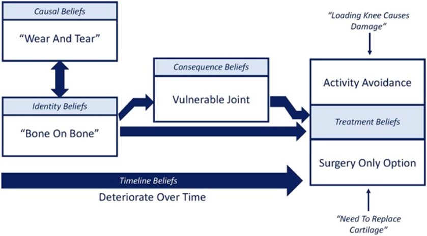 Wear' are we with Osteoarthritis? – Marcus Blumensaat Clinical